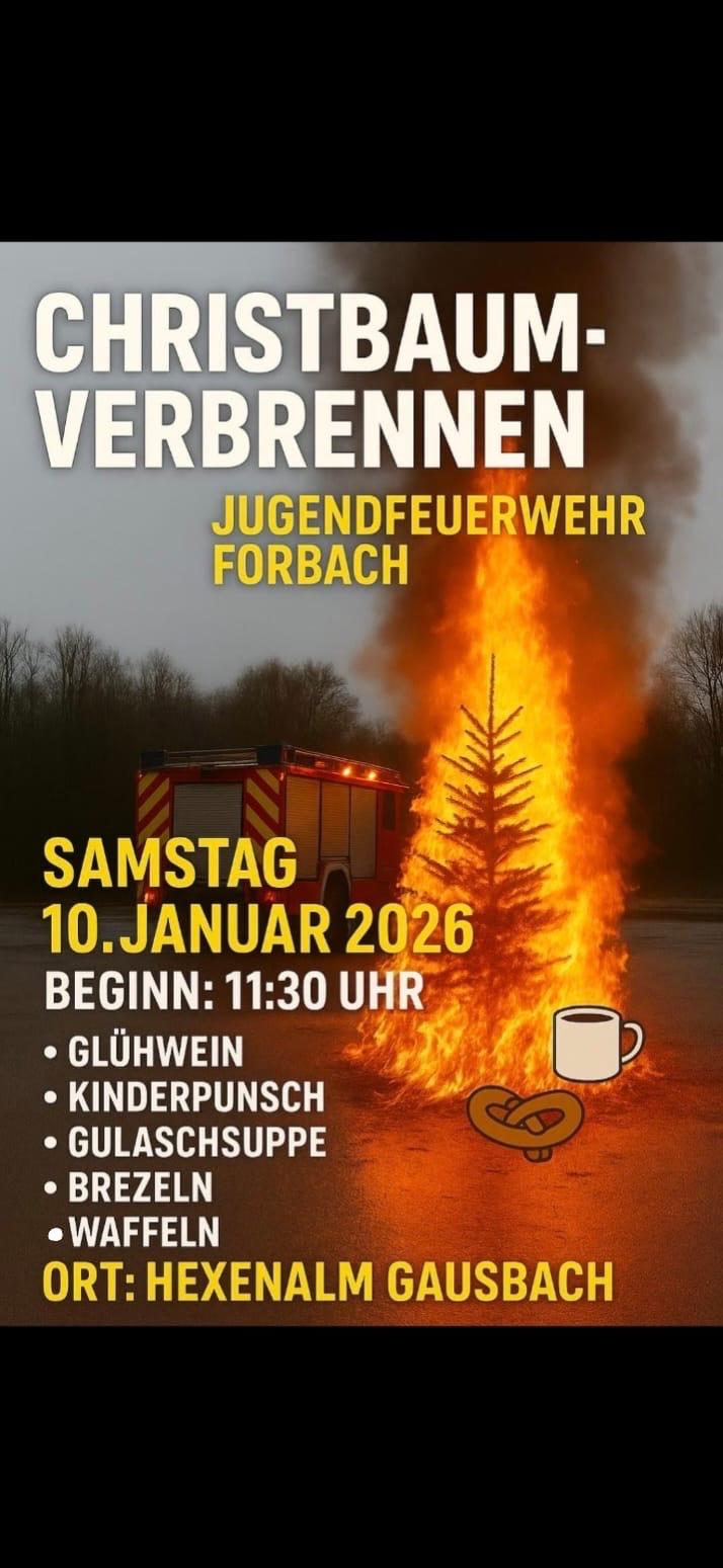 christbaumverbrennen.jpg